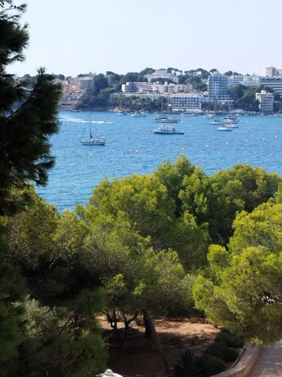 Apartment in Calvia, Balearic Islands, Spain 2 - 18671124