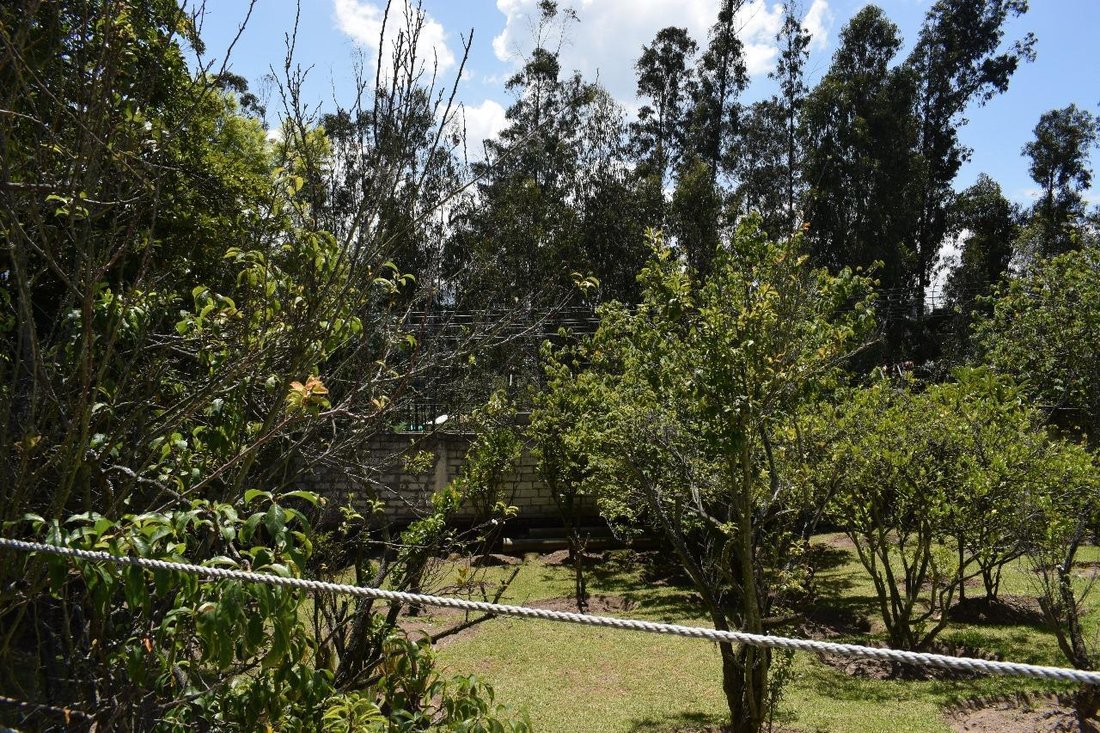 Land in Quito, Pichincha, Ecuador 4 - 18661526