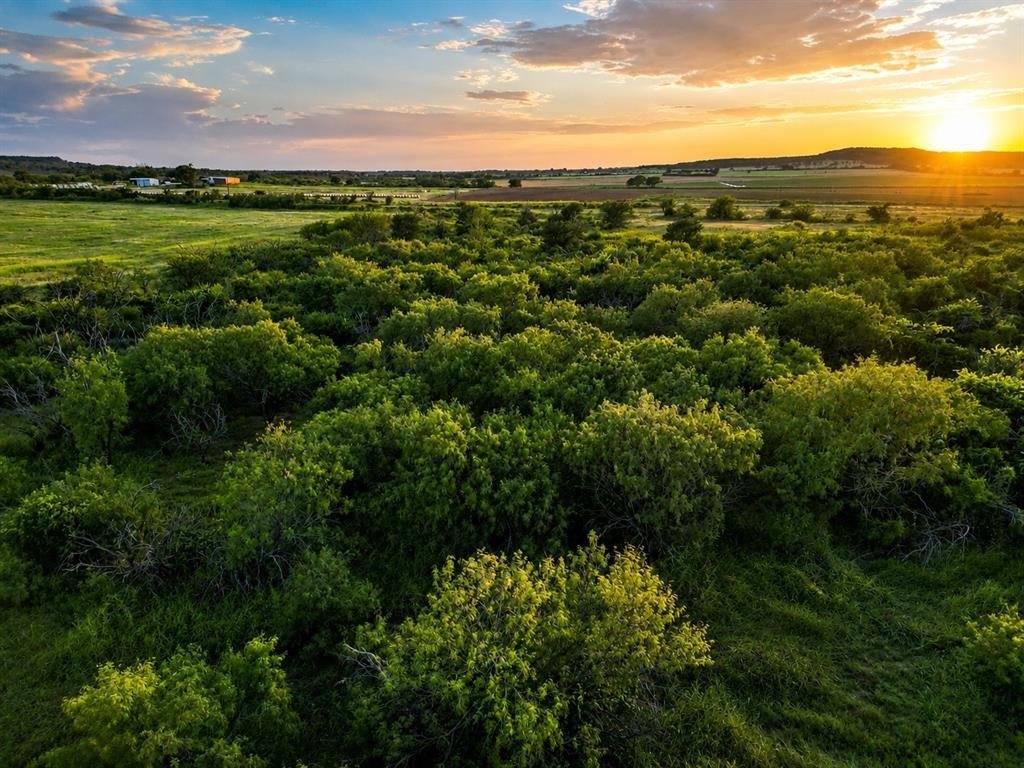 Farm Ranch in Rising Star, Texas, United States 1 - 18669445