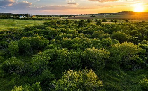 Corps de ferme à Rising Star, Texas, États-Unis 1