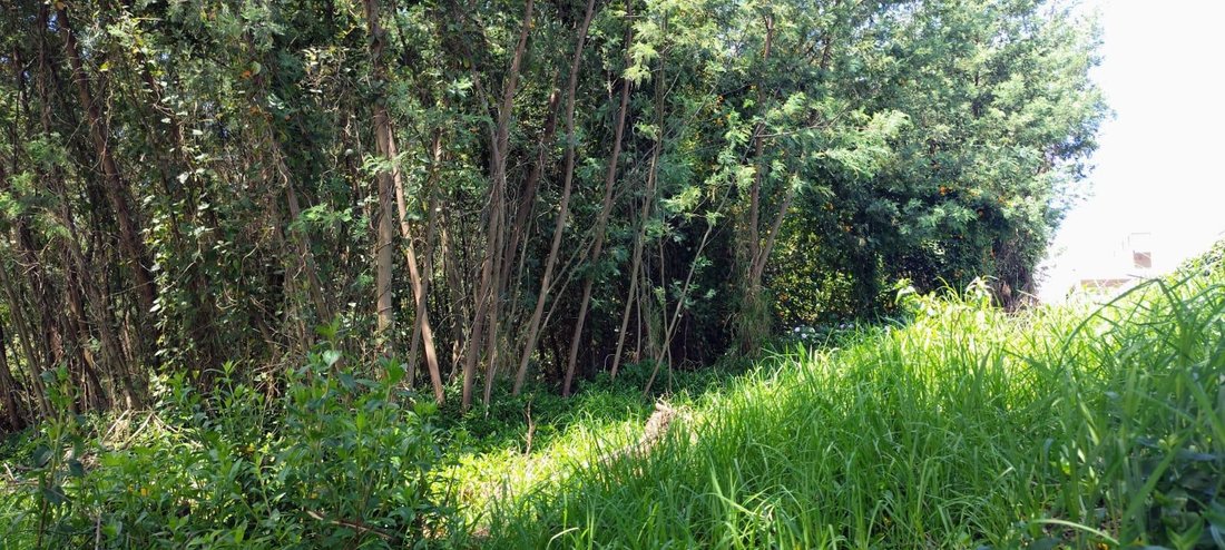 Land in Quito, Pichincha, Ecuador 5 - 18661545