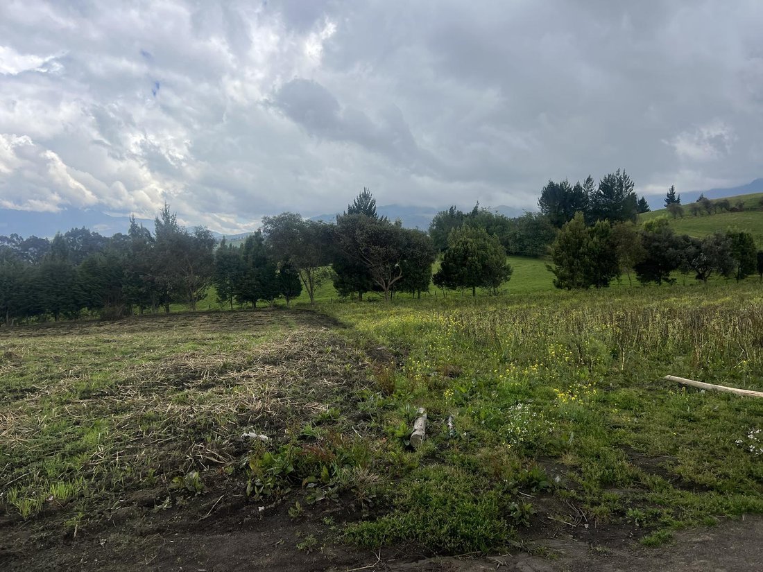 Land in Machachi, Pichincha, Ecuador 5 - 18661699