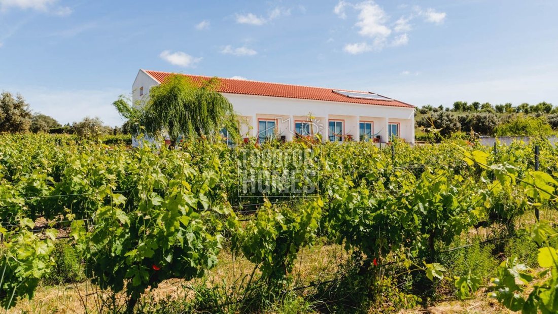 Vila de Frades, Beja District, Portugal 4 - 15176522