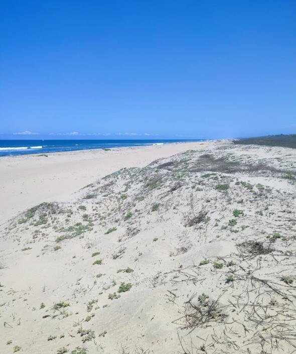 Land in Vicente Guerrero, Jalisco, Mexico 5 - 18672693