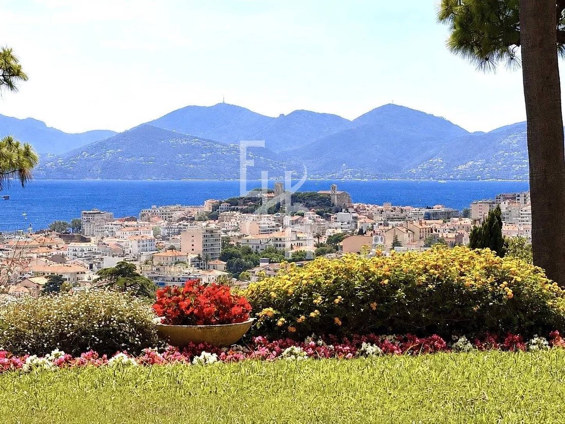 Apartment in Cannes, Provence-Alpes-Côte d'Azur, France 3 - 18219981
