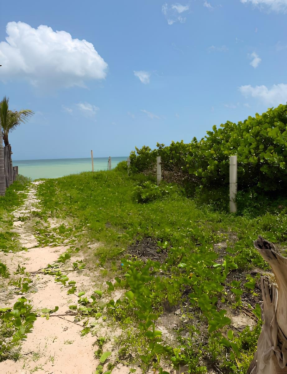 Land in San Benito, Yucatan, Mexico 5 - 18661200