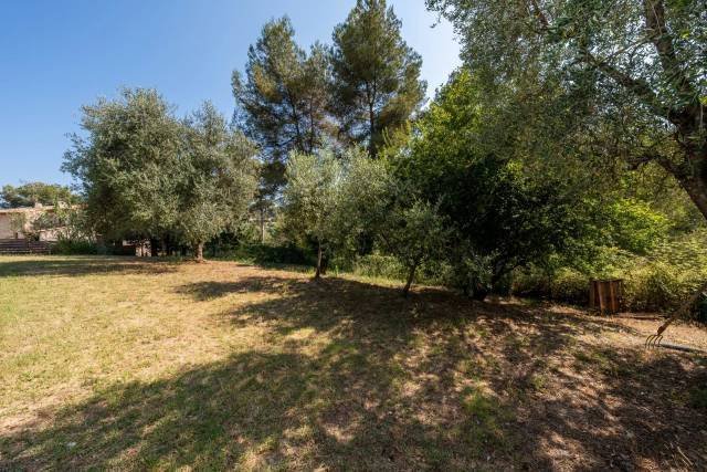 House in Falicon, Provence-Alpes-Côte d'Azur, France 4 - 15722885