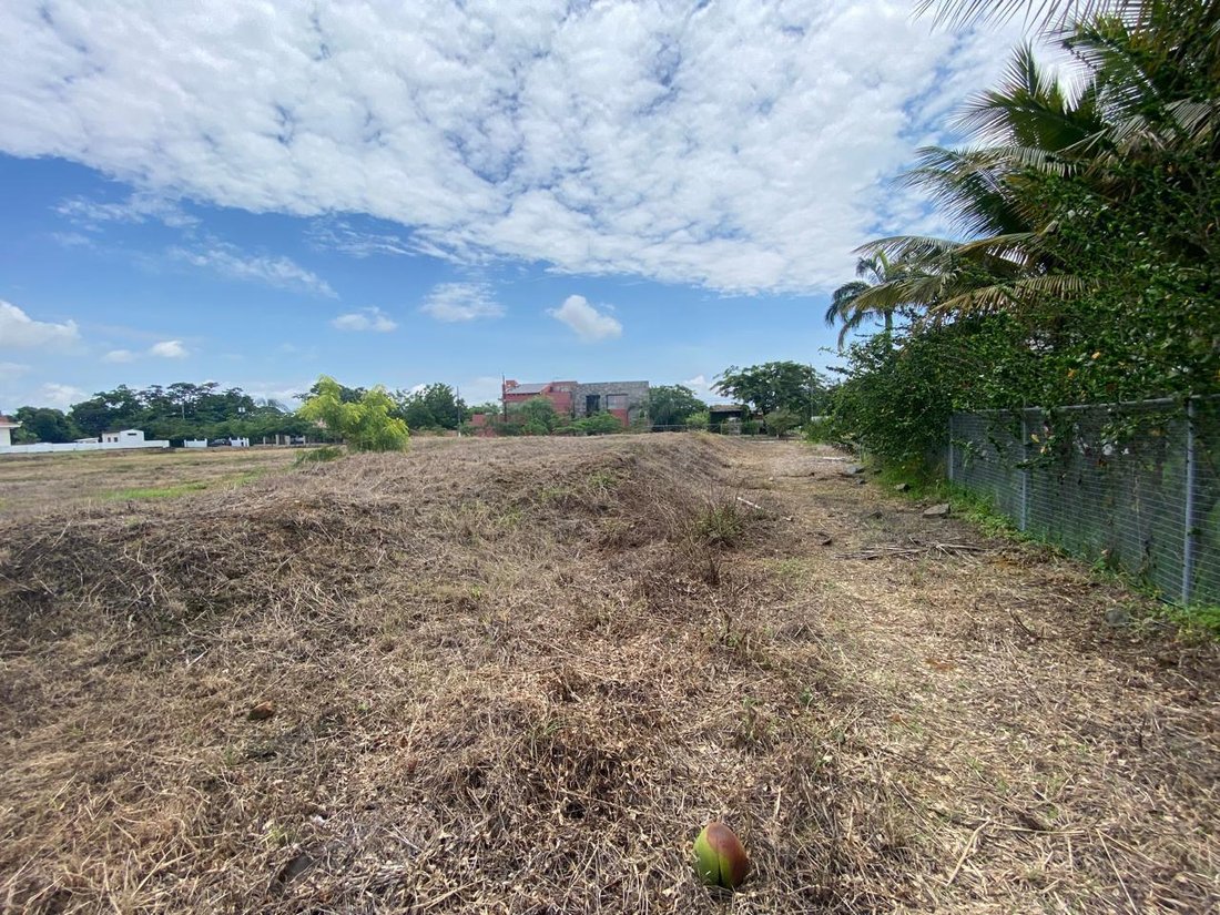 Land in Samborondón, Guayas, Ecuador 4 - 18660752