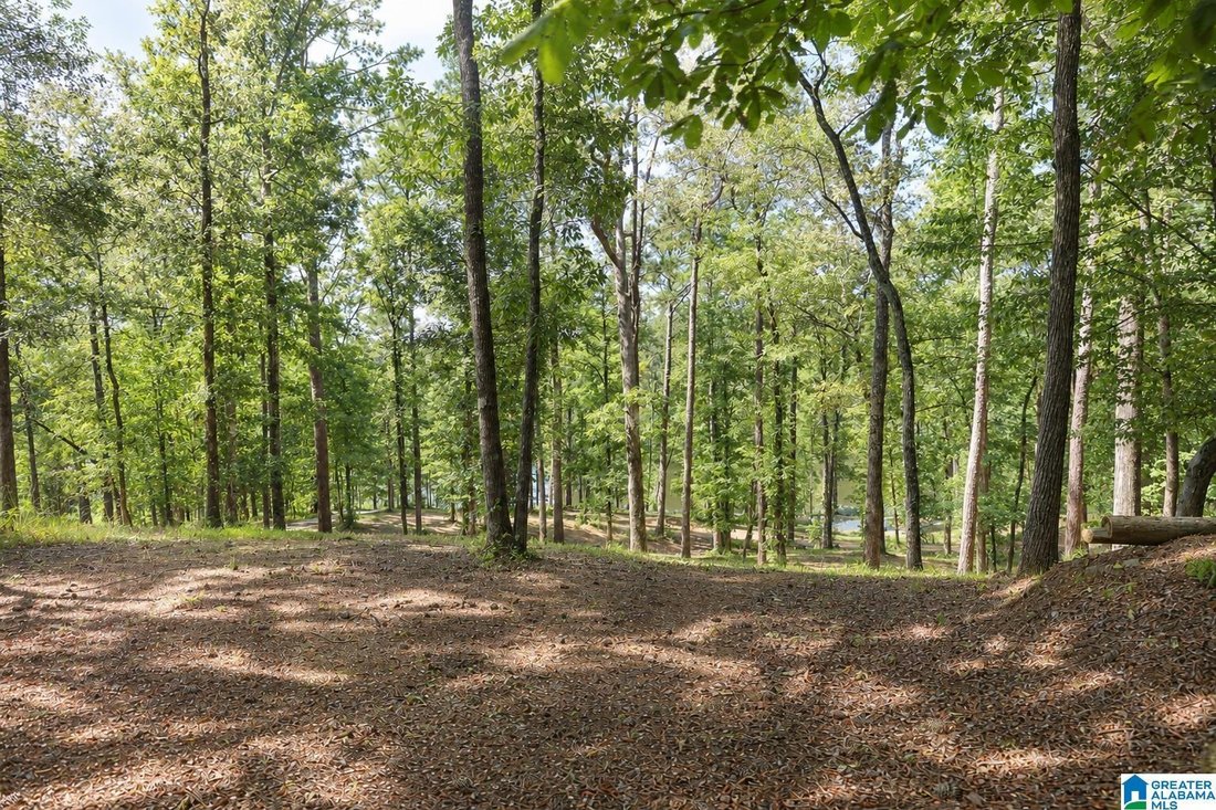 House in Shelby, Alabama, United States 5 - 18656585