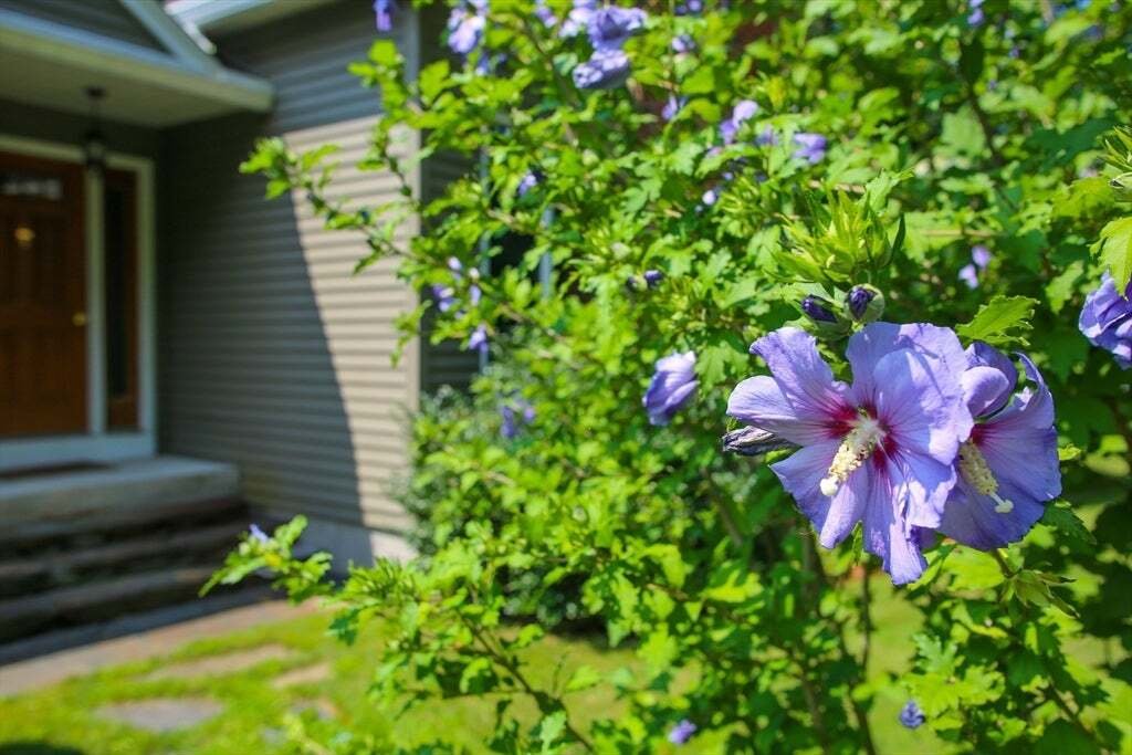 House in Adams, Massachusetts, United States 4 - 18670959
