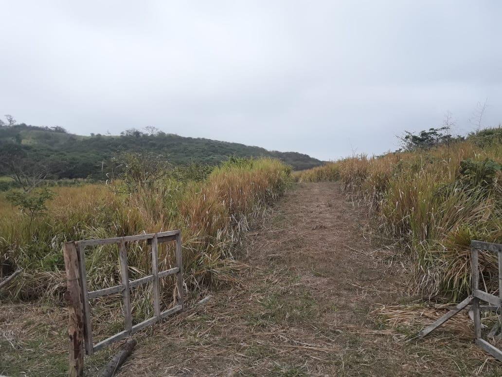 Land in Pedernales, Manabí, Ecuador 5 - 18660119