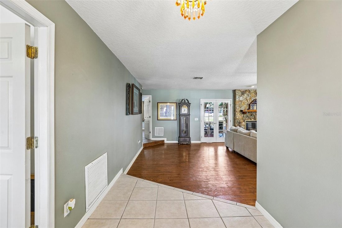 House in Palm Harbor, Florida, United States 4 - 18669268