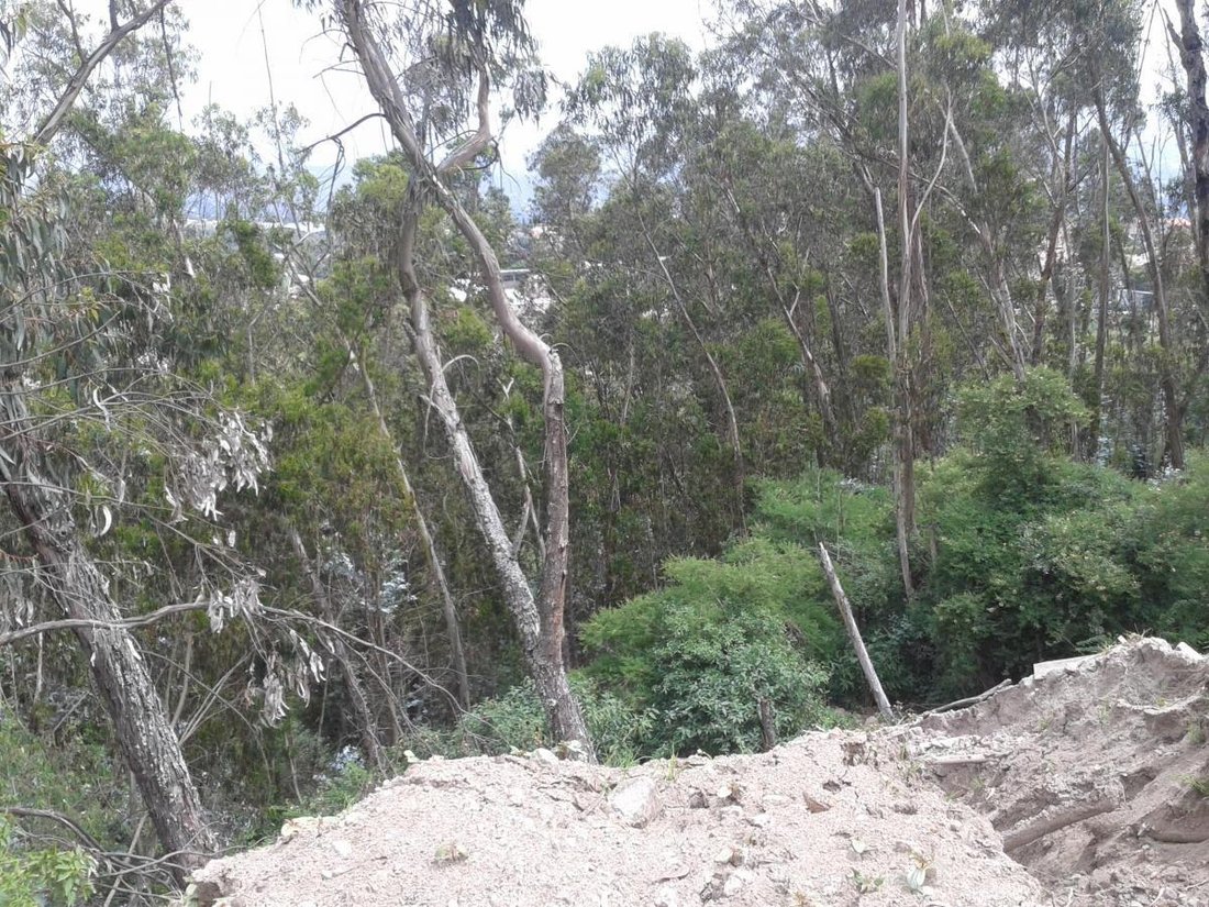 Land in Quito, Pichincha, Ecuador 1 - 18661645