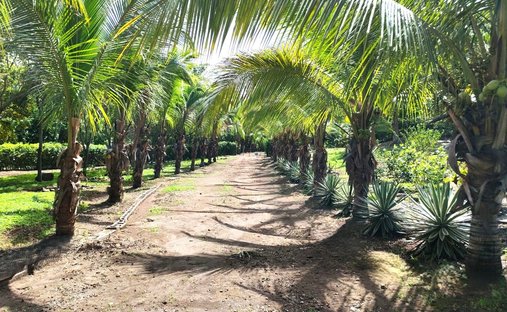 Farm Ranch in Curubandé de Liberia, Guanacaste Province, Costa Rica 1
