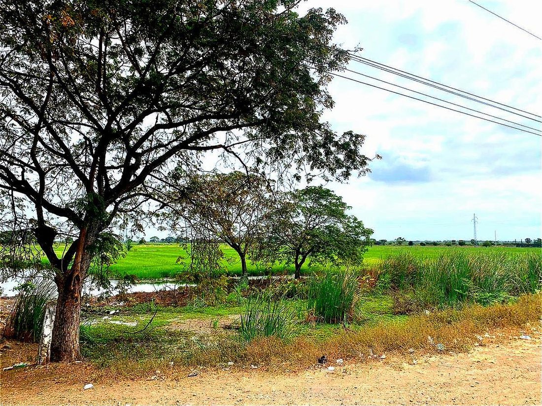 Land in Duran, Guayas, Ecuador 1 - 18660008