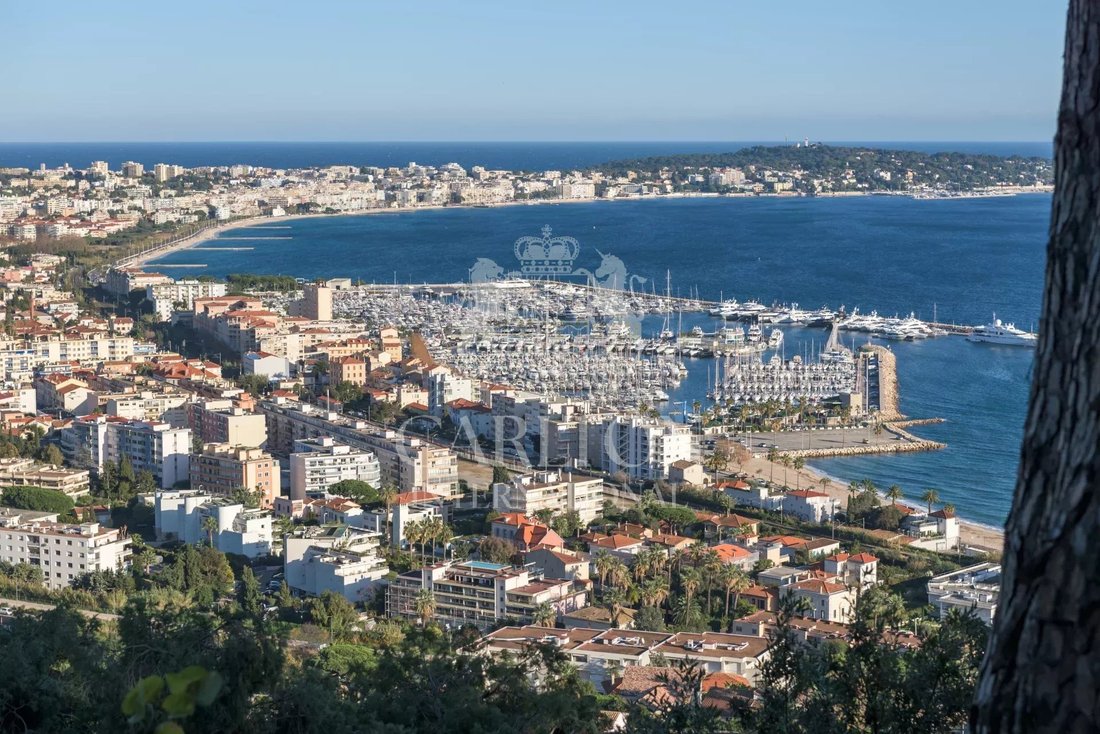 Villa in Cannes, Provence-Alpes-Côte d'Azur, France 3 - 18662059