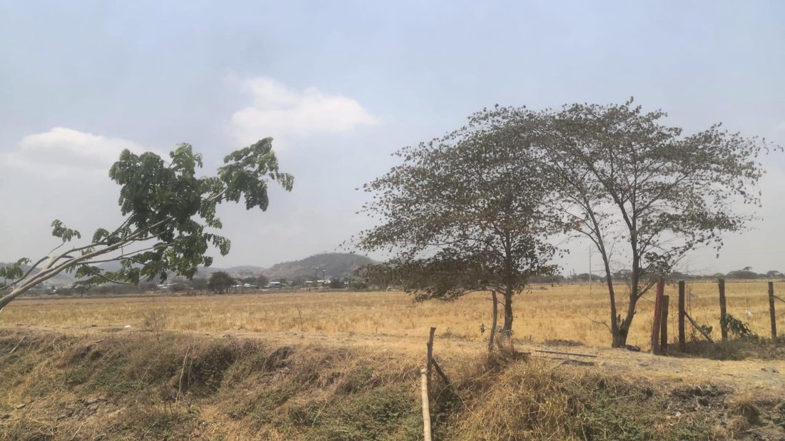Land in Guayaquil, Guayas, Ecuador 3 - 18660480