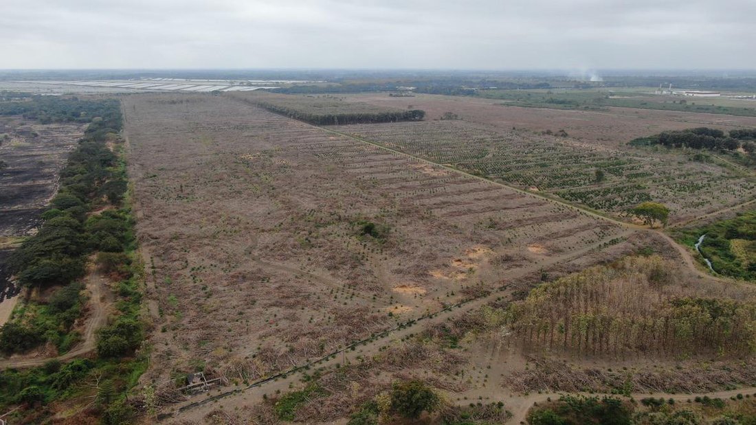 Land in La Palma, Guayas, Ecuador 3 - 18660305