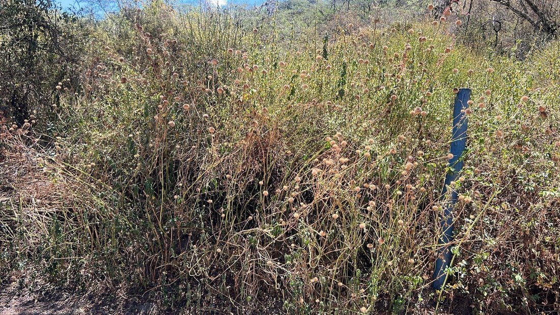 Land in Quito, Pichincha, Ecuador 5 - 18661696