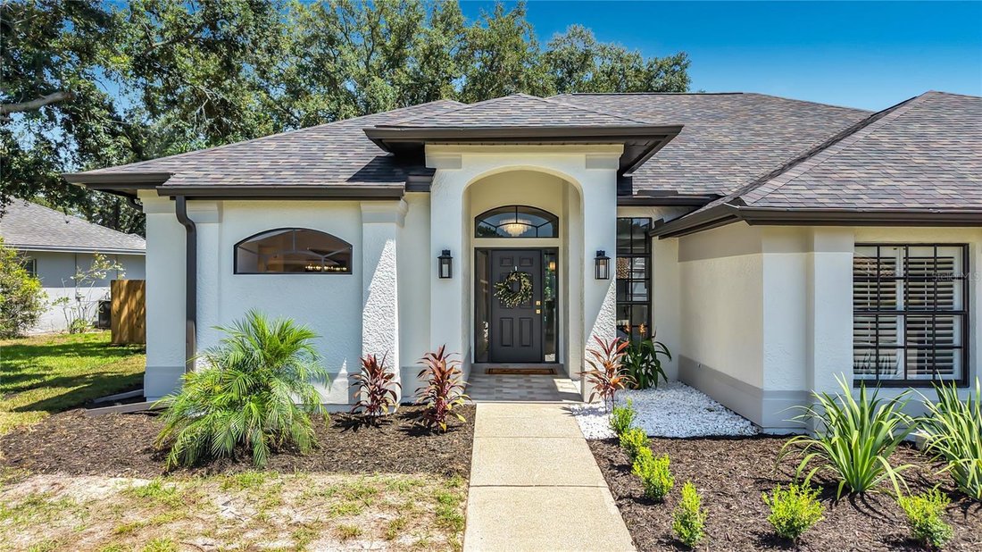 House in Palm Harbor, Florida, United States 2 - 18663029