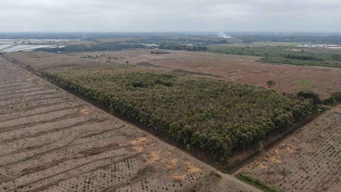 Land in La Palma, Guayas, Ecuador 5 - 18660305