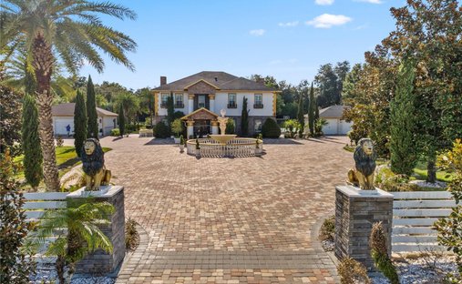 House in Eustis, Florida, United States 1