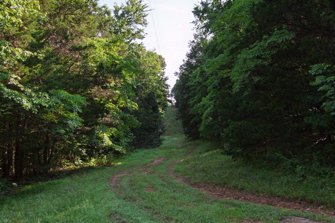 Haus in White Bluff, Tennessee, Vereinigte Staaten 4 - 18659560