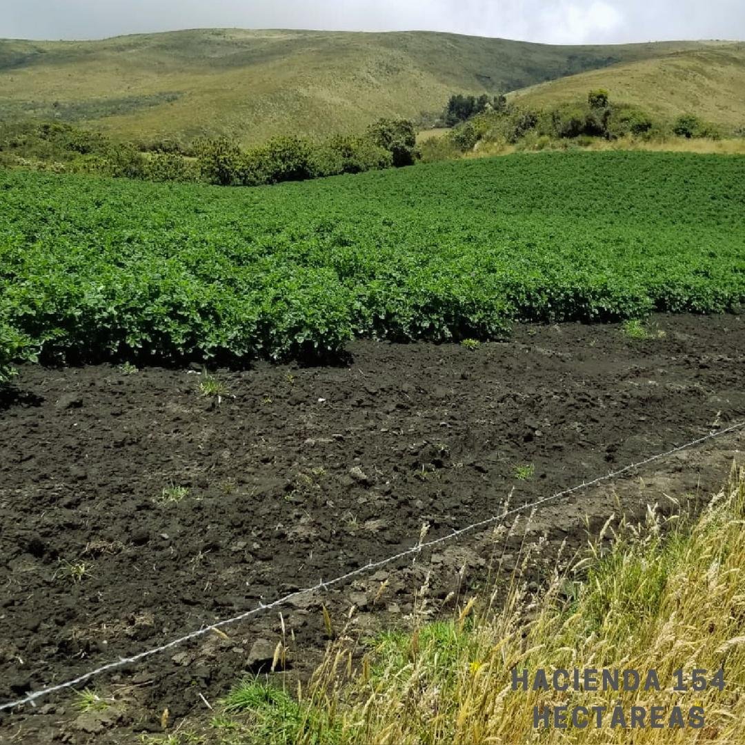 Farm Ranch in Machachi, Pichincha, Ecuador 5 - 18661464