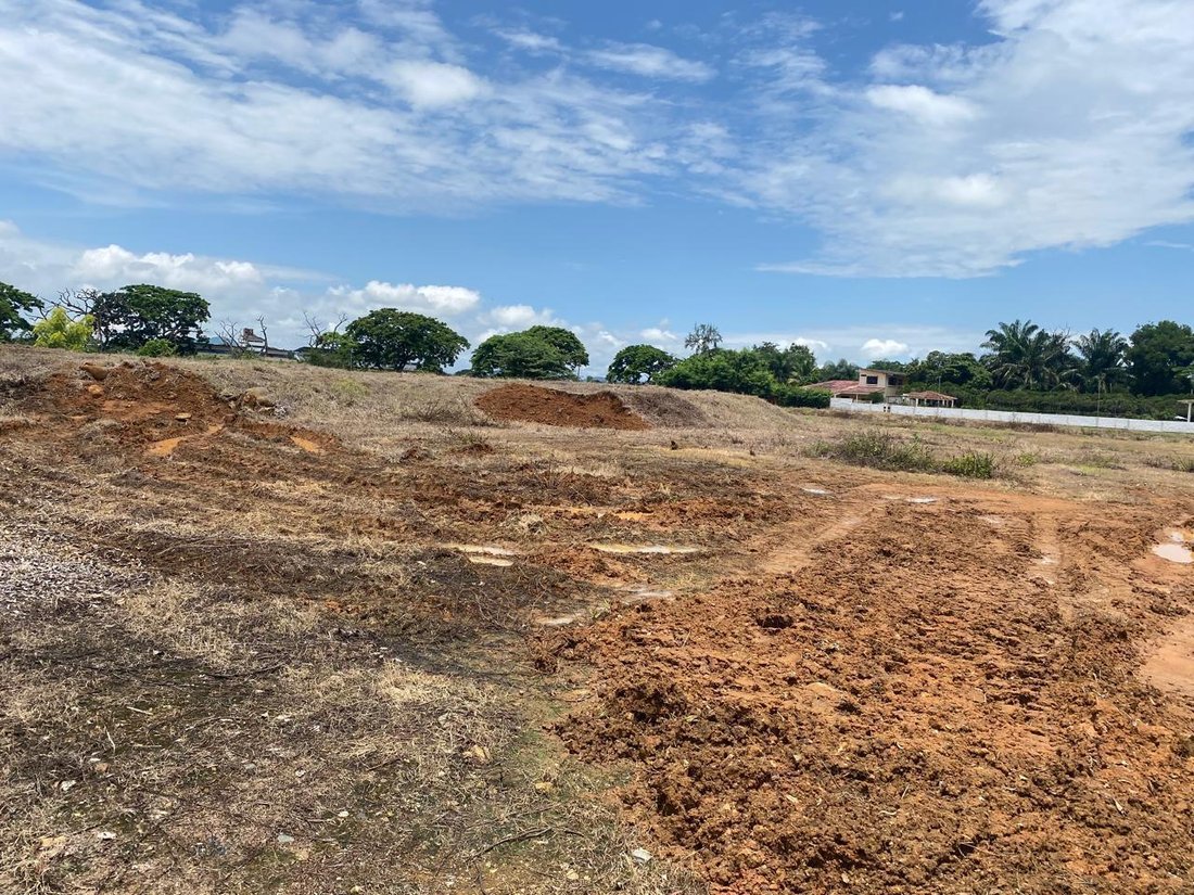 Land in Samborondón, Guayas, Ecuador 3 - 18660752