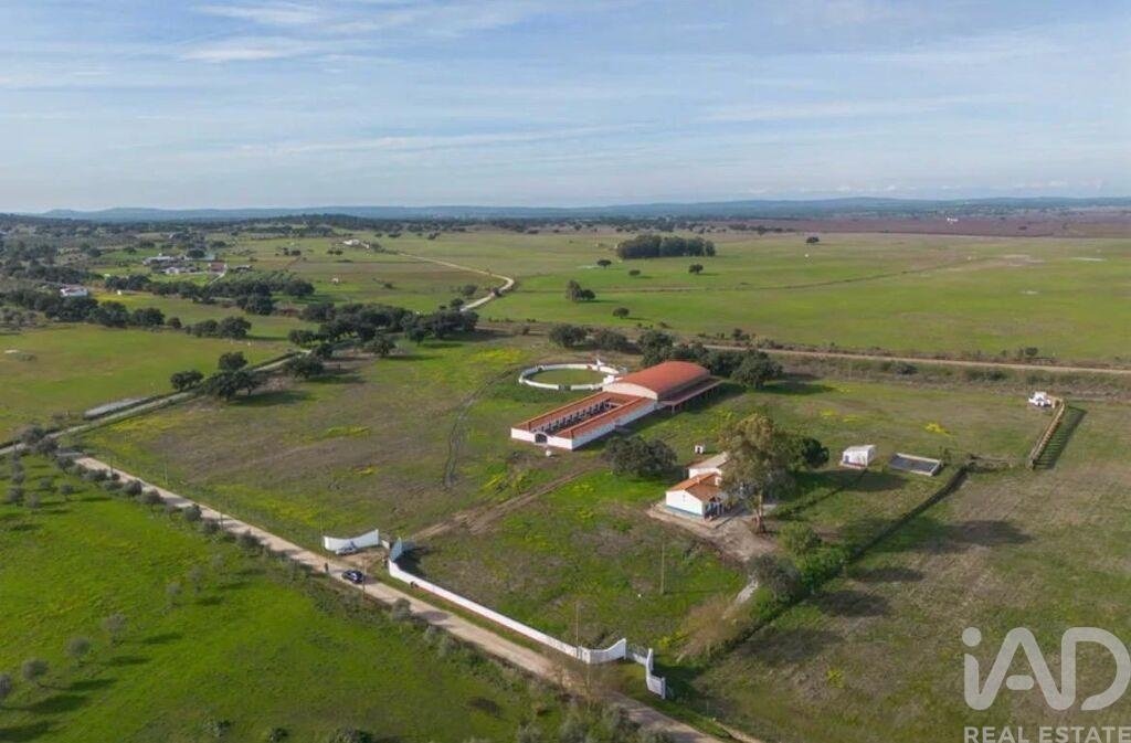 Farm Ranch in Viana do Alentejo, Évora District, Portugal 2 - 18671038