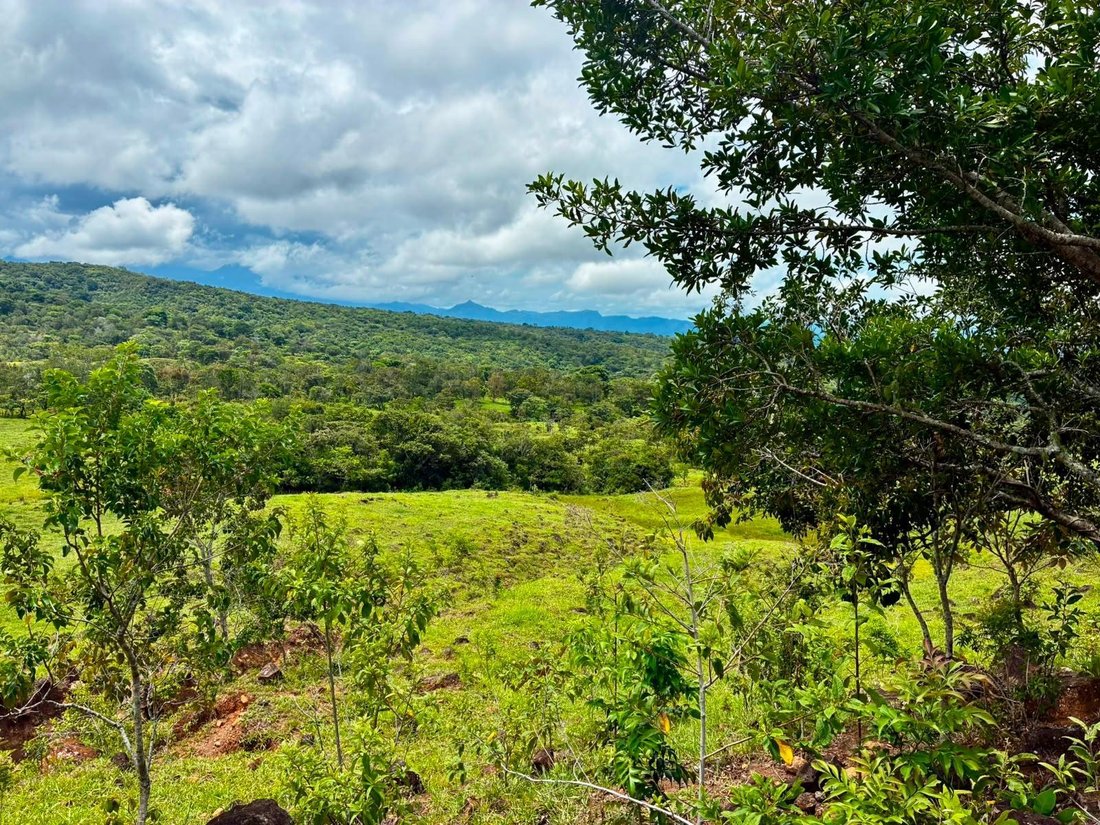 Finca in Caldera, Chiriquí Province, Panama 5 - 18666153