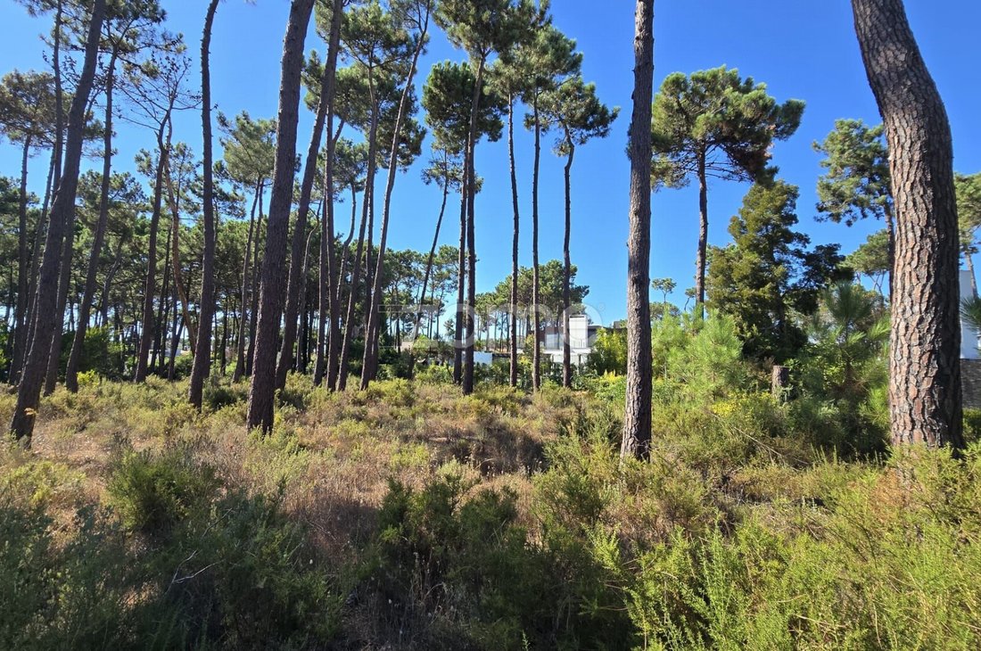 Land in Herdade Da Aroeira, Charneca de Caparica e Sobreda, Setubal 5 - 18664526