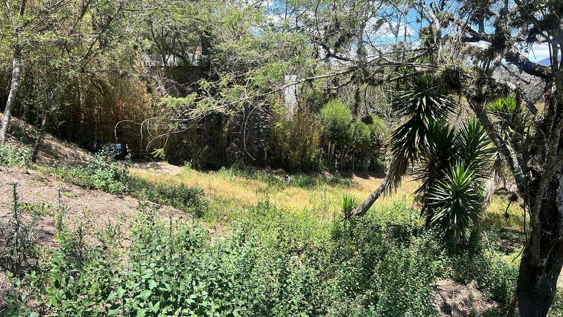 Land in Quito, Pichincha, Ecuador 2 - 18661568