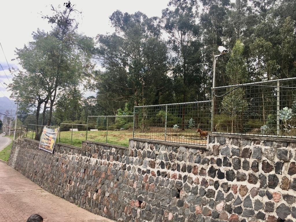 Land in Quito, Pichincha, Ecuador 5 - 18661474