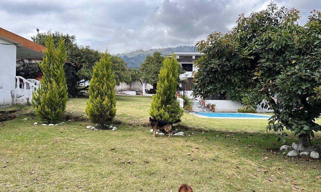 Land in Quito, Pichincha, Ecuador 3 - 18661614