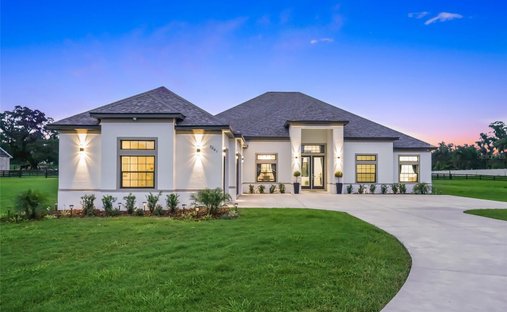 Casa en Ocala, Florida, Estados Unidos 1