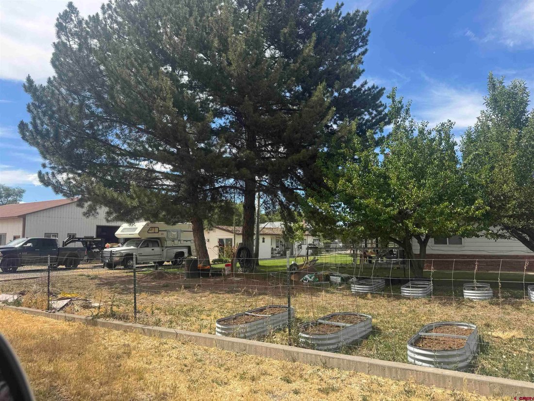 Montrose, Colorado, United States 2 - 18659973