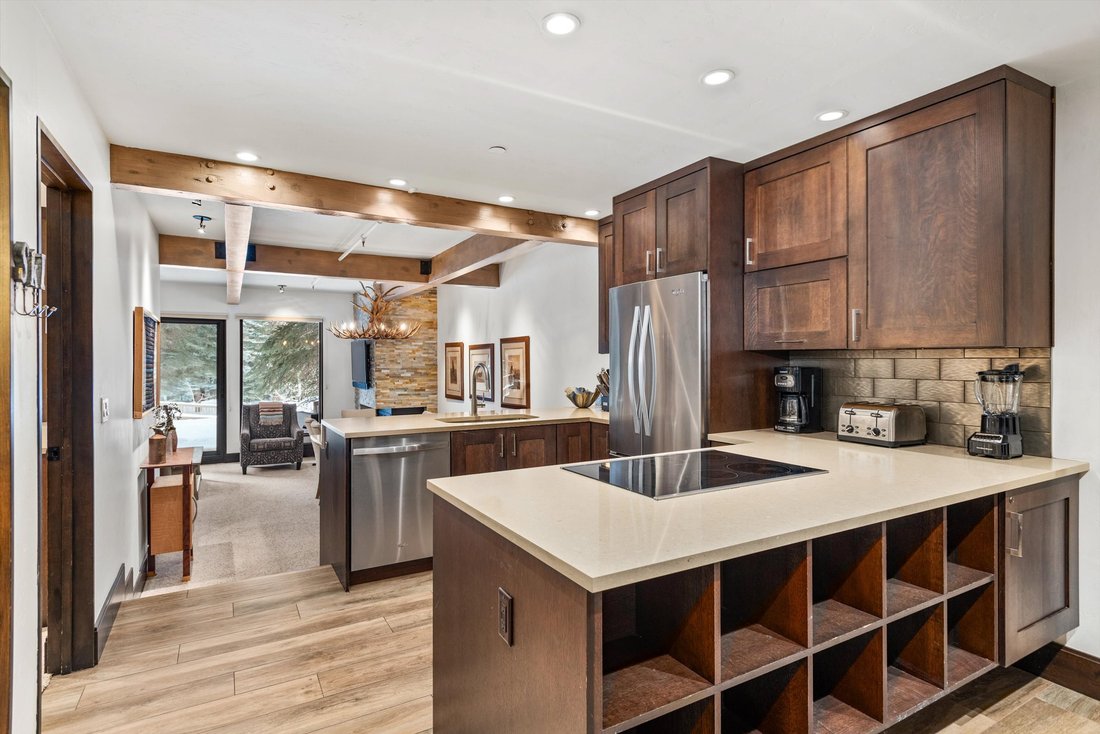 Condo in Aspen, Colorado, United States 1 - 18665635