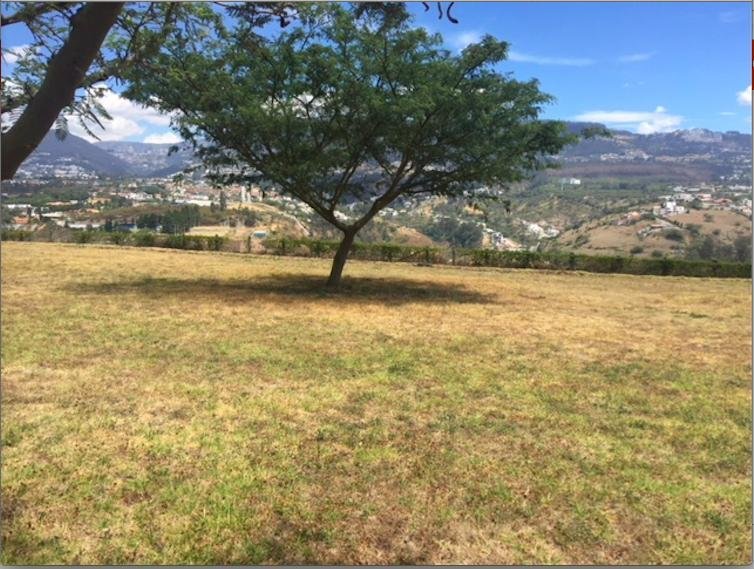 Land in Quito, Pichincha, Ecuador 3 - 18661661