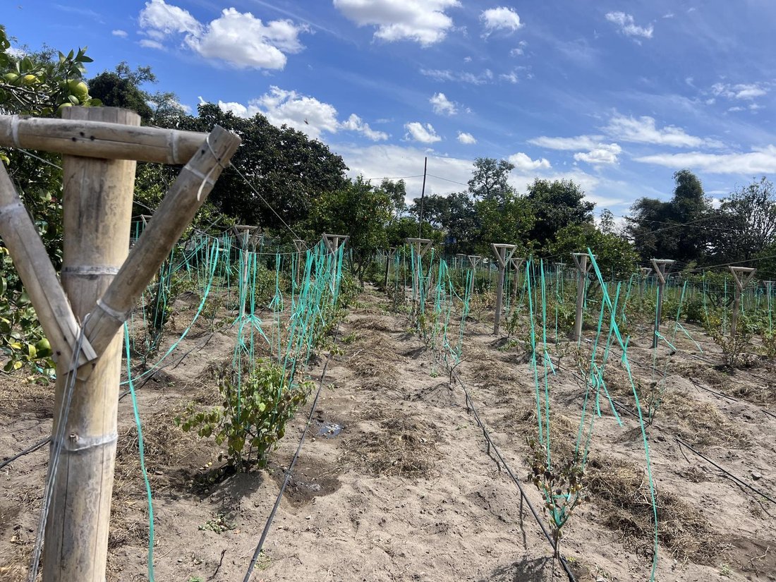 Farm Ranch in Quito, Pichincha, Ecuador 5 - 18661710