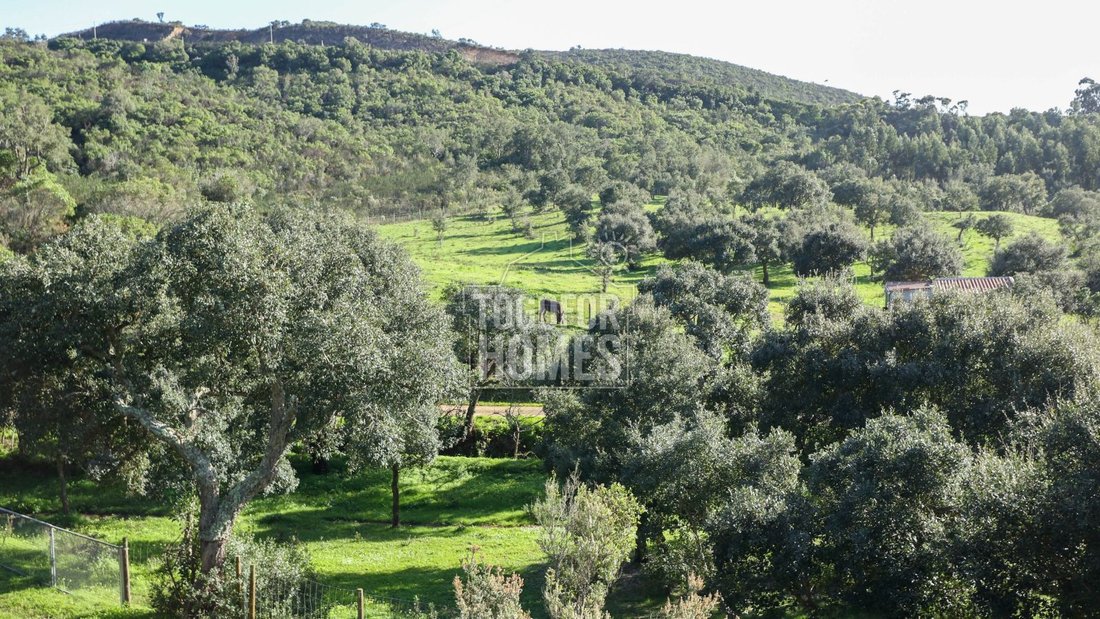 Estate in Aljezur, Algarve, Portugal 3 - 17476438