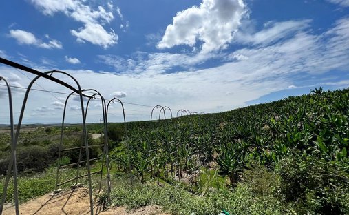 Farm Ranch in Chanduy, Santa Elena, Ecuador 1