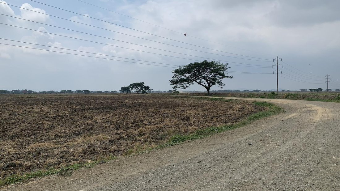 Land in Samborondón, Guayas, Ecuador 5 - 18660430