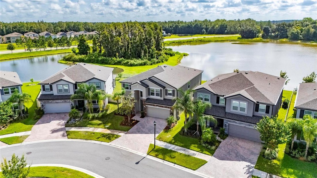 House in Tampa, Florida, United States 2 - 18663010