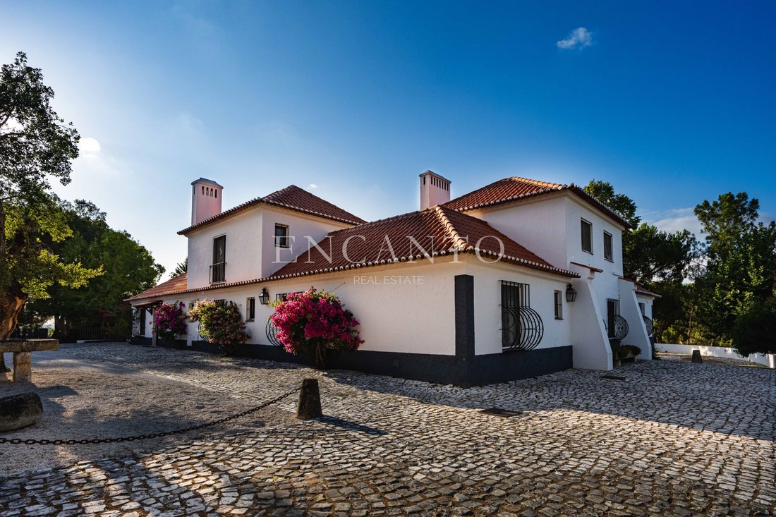 Finca in Santo Estevao, Santarem District, Portugal 2 - 18660917