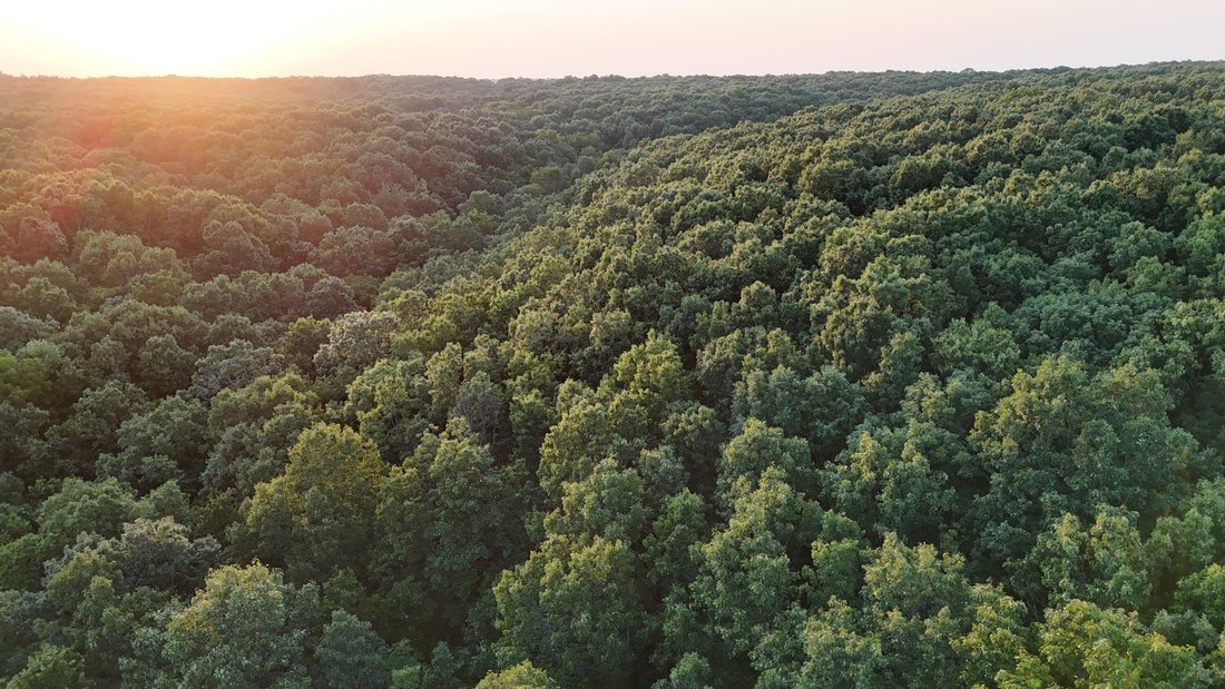 Land in Mount Vernon, Missouri, United States 5 - 18663320