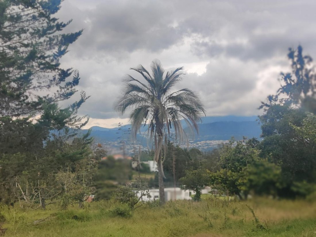 Land in Quito, Pichincha, Ecuador 4 - 18661431