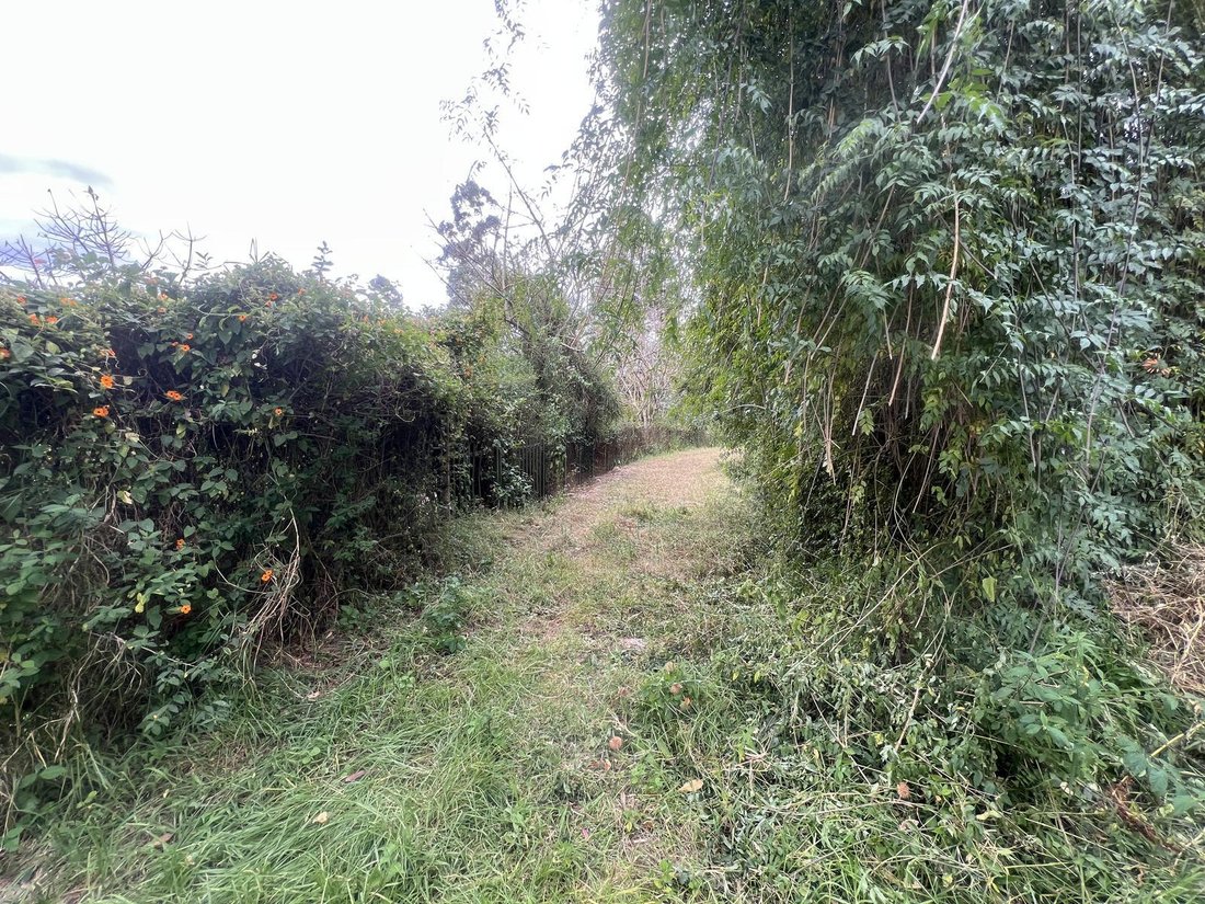 Land in Quito, Pichincha, Ecuador 5 - 18661554