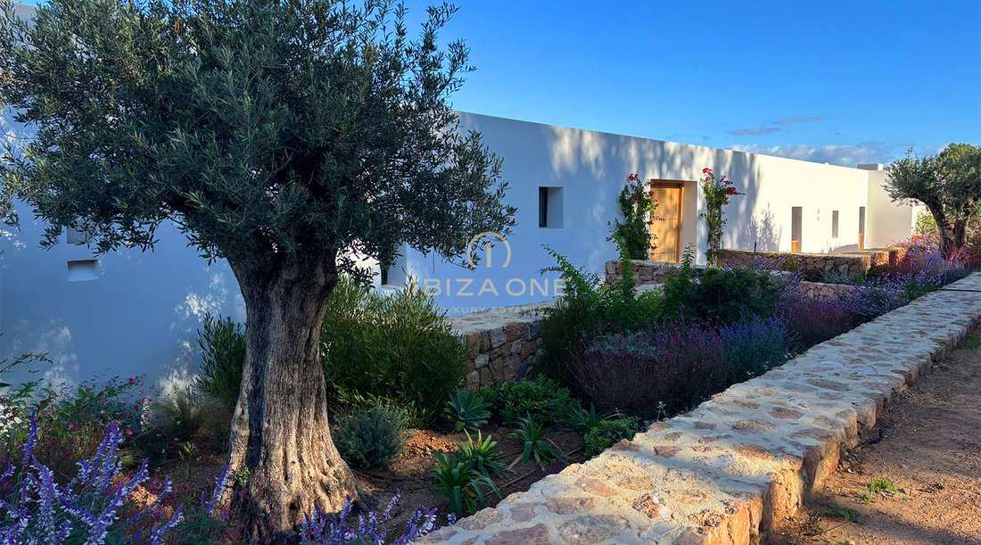 Villa in Sant Agusti des Vedra, Sant Josep de sa Talaia, Balearic Islands 5 - 17717694
