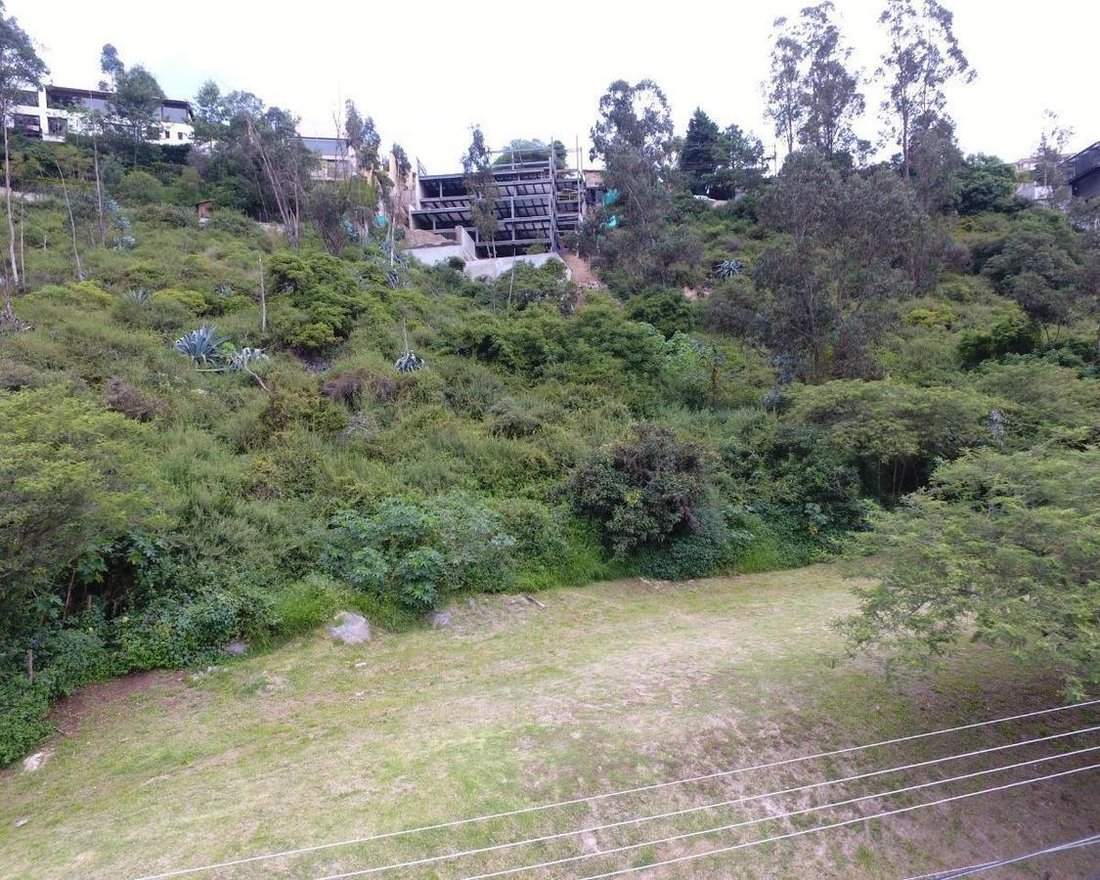 Apartment in Quito, Pichincha, Ecuador 4 - 18661667